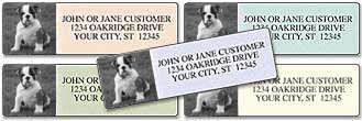 Photo Labels