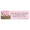 rachaelhale� Kittens Labels 