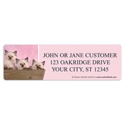 rachaelhale� Kittens Labels 