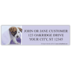 rachaelhale� Dogs Labels - 4 Scenes