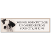Rachael Hale Dogs Labels - 5 Scenes