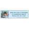 rachaelhale� Kittens Labels - 4 Scenes