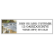 Coastal Dreams Address Labels - 5 Scenes