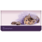 rachaelhale� Kittens Leather Cover