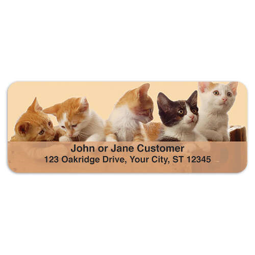 Precious Kittens Address Labels