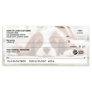 Item successfully added to cart | Walmart Checks