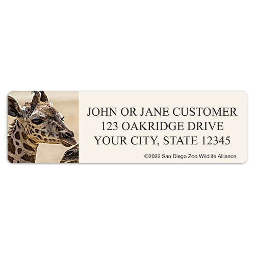 San Diego Zoo Giraffe Address Labels