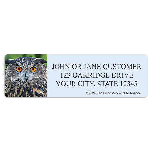 San Diego Zoo Owl Address Labels