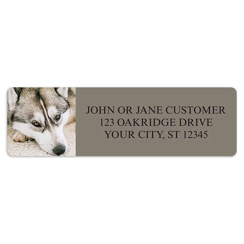 400 Cute Dog Personalized Return Address Labels – 1/2" X 1-3/4" – Maestro
