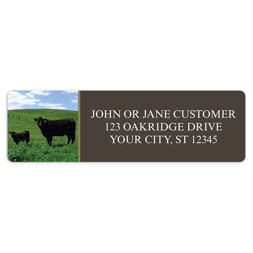 Black Angus Cows Address Labels